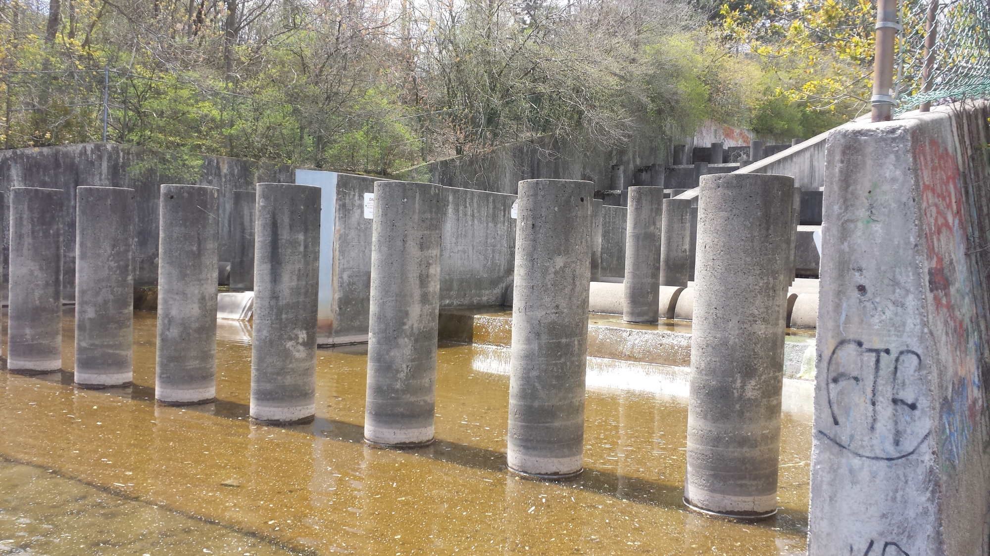 Concrete pillars for an unfinished dam on the Credit River