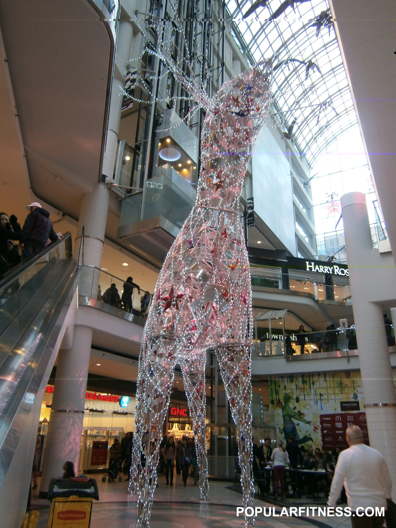 Christmas reindeer - Eaton Centre - Toronto