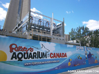  Building Toronto's Aquarium