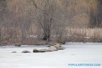 Rocks on frozen pond in High Park