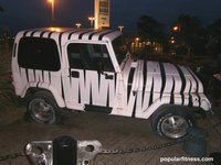 Zebra striped jeep