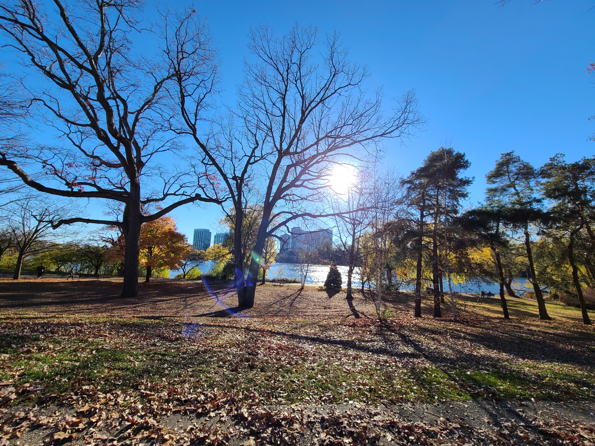 View in High Park by Grenadier Pond in early November in Toronto
