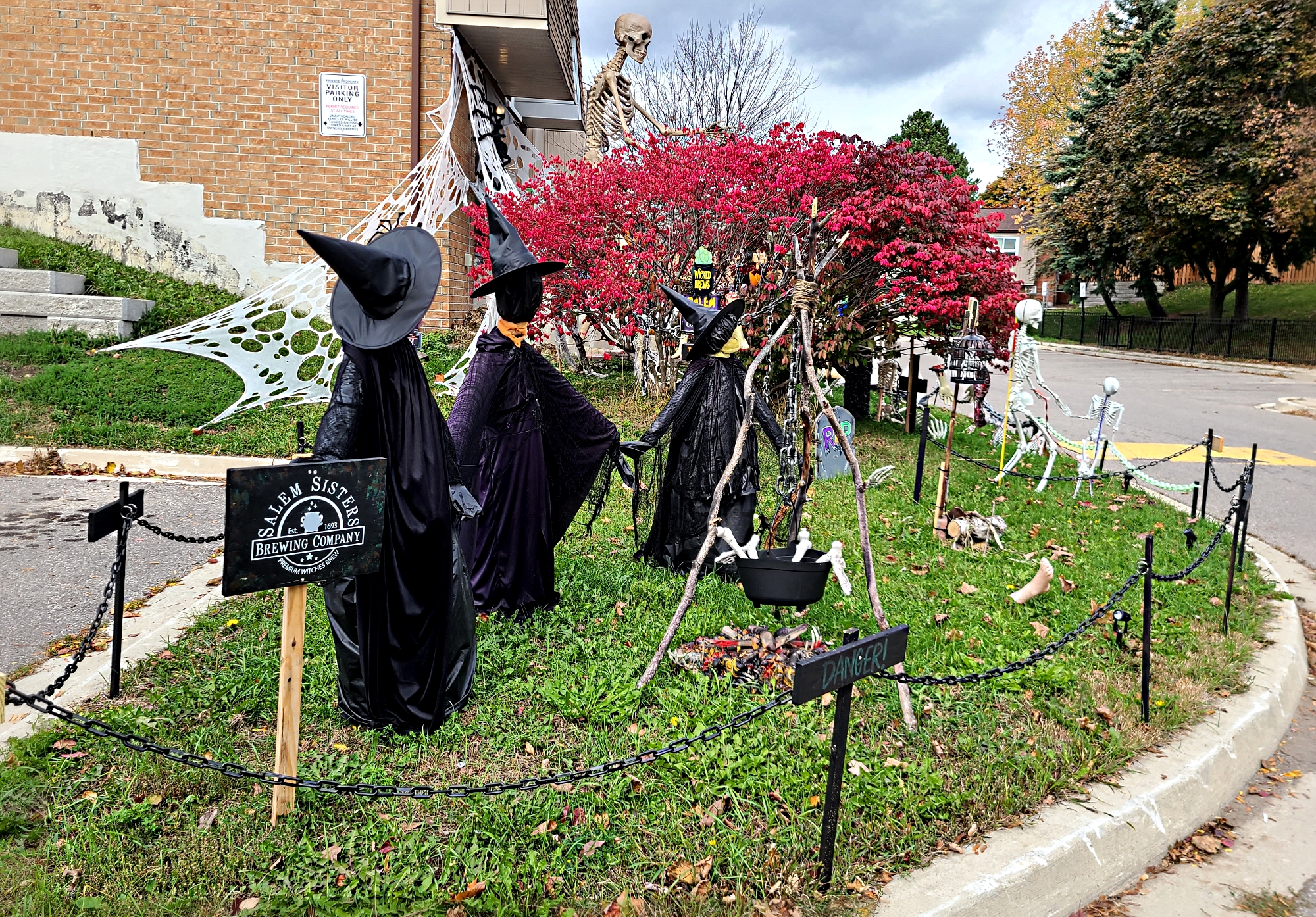 Witches, Very Tall Skeleton, Skeletons, Bones - Halloween Scene.